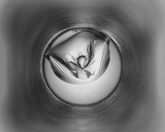 X0000095961468200802081307