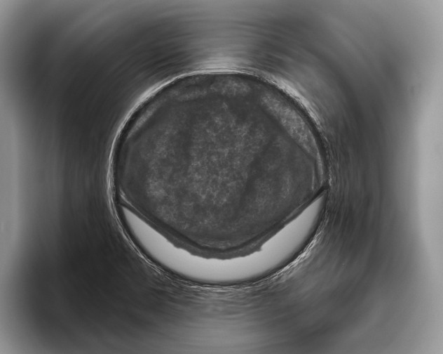 X0000095961469200802081307