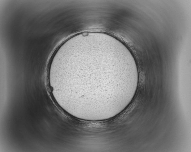 X0000095961470200802081307