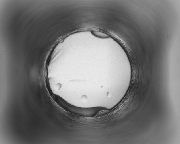 X0000095961471200802081307