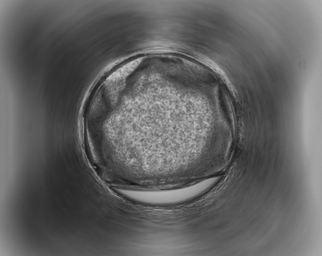 X0000095961472200802081307