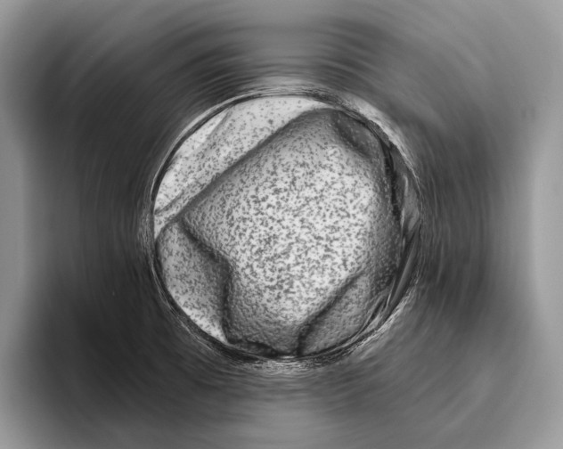 X0000095961473200802081307