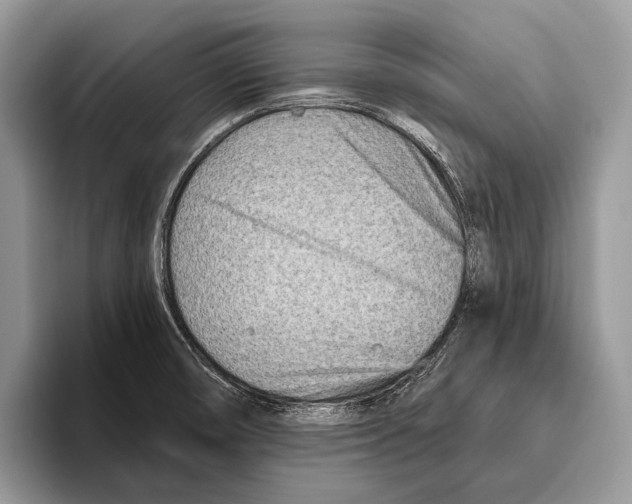 X0000095961474200802081307