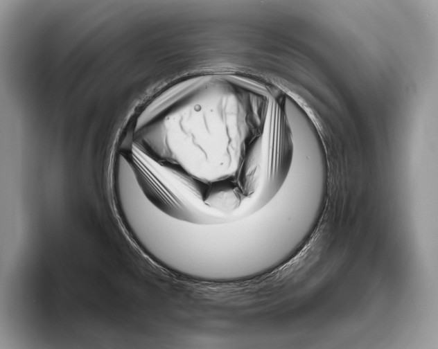 X0000095961477200802081307