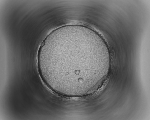 X0000095961479200802081307