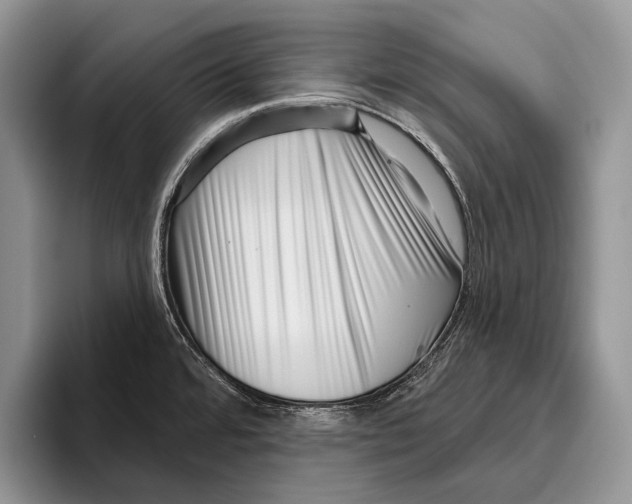 X0000095961480200802081307