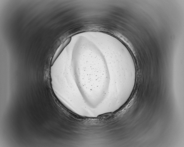 X0000095961481200802081307