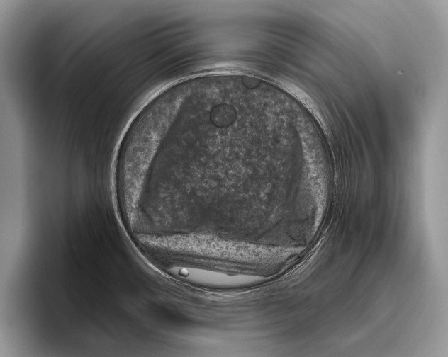 X0000095961482200802081307