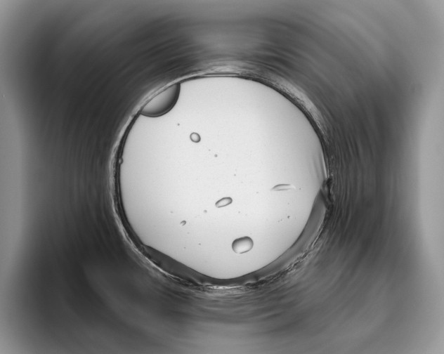 X0000095961483200802081307