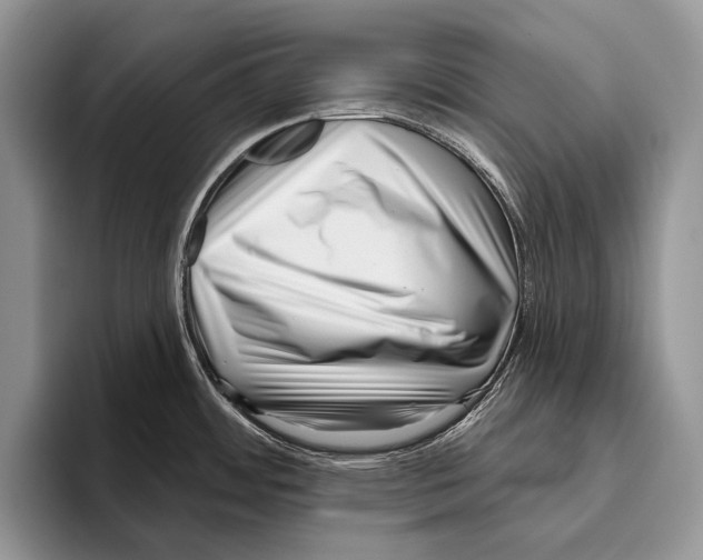 X0000095961484200802081307