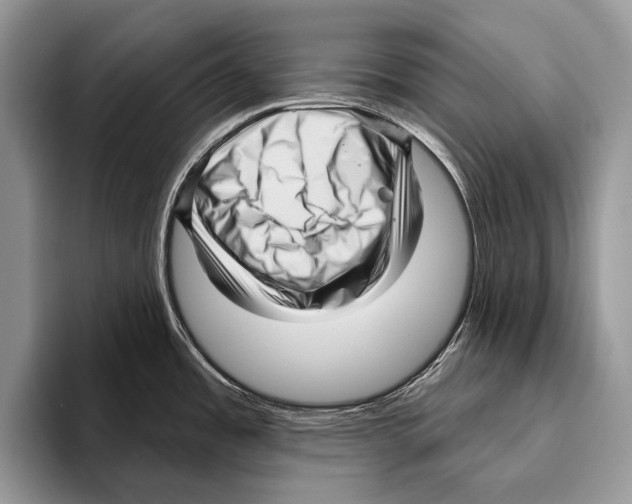 X0000095961485200802081307