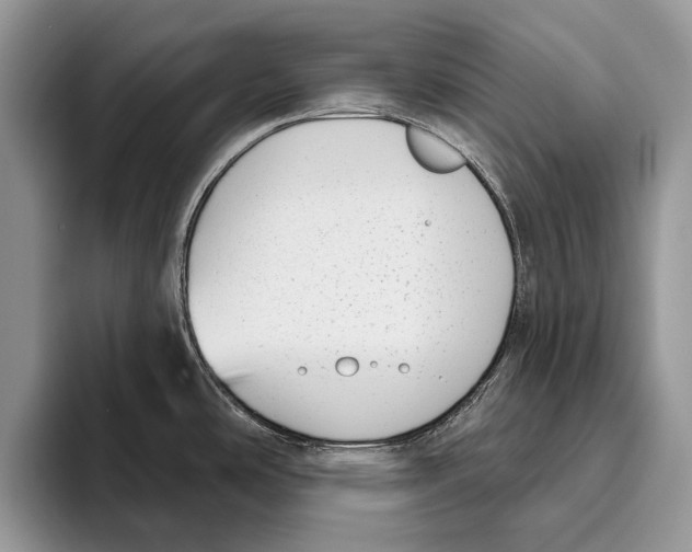 X0000095961486200802081307