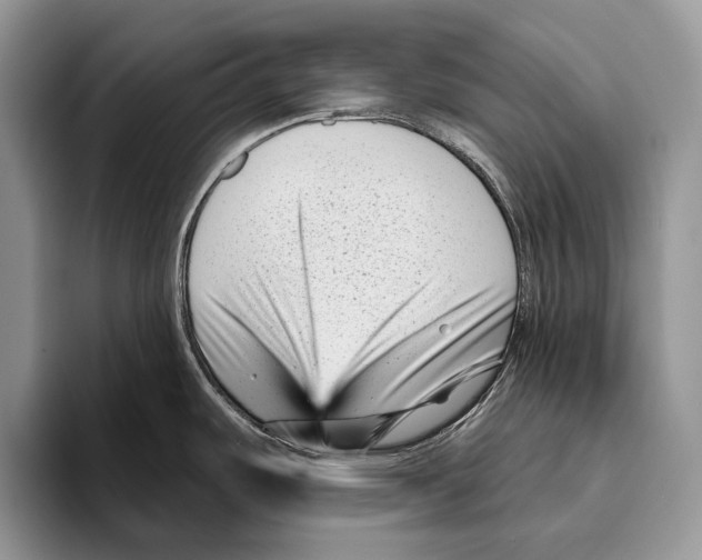 X0000095961487200802081307