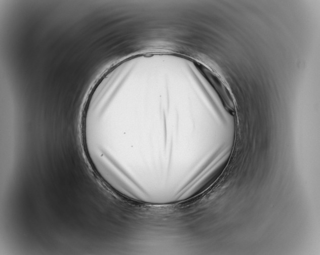 X0000095961488200802081307