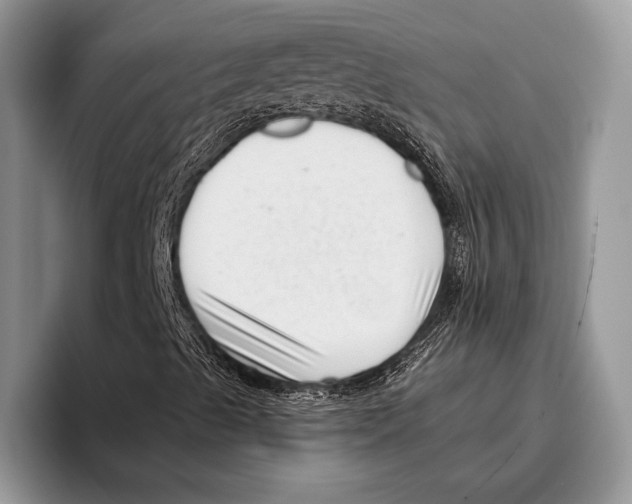 X0000095961489200802081307