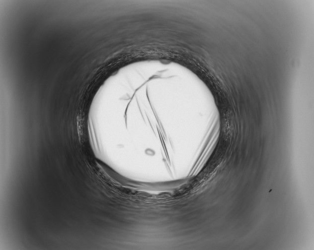 X0000095961490200802081307