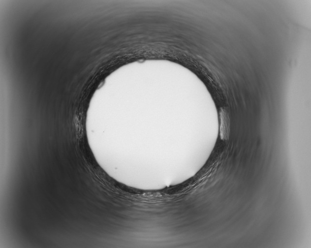 X0000095961491200802081307