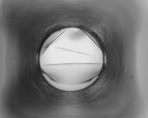 X0000095961492200802081307