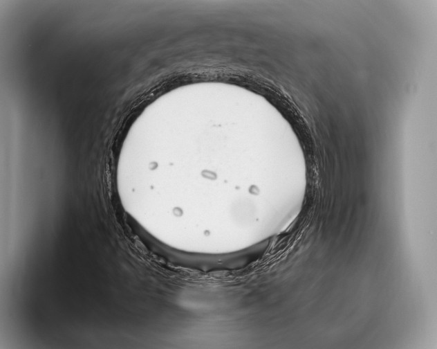 X0000095961493200802081307