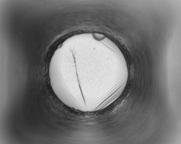 X0000095961494200802081307