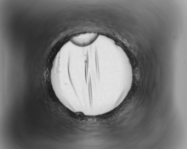 X0000095961495200802081307