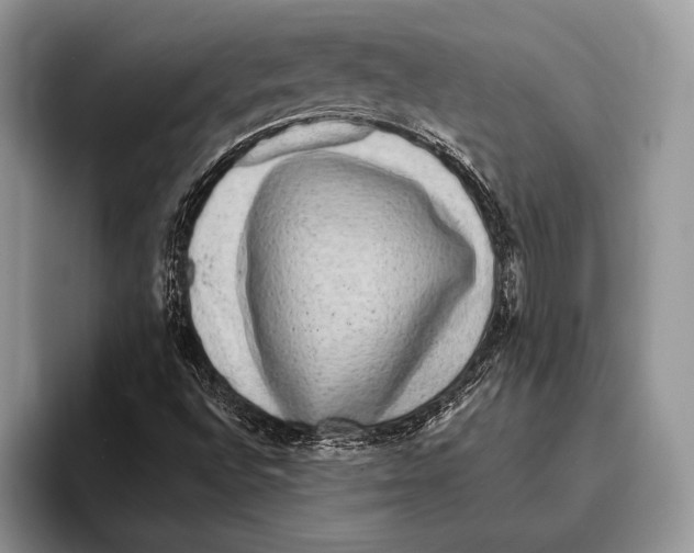 X0000095961496200802081307