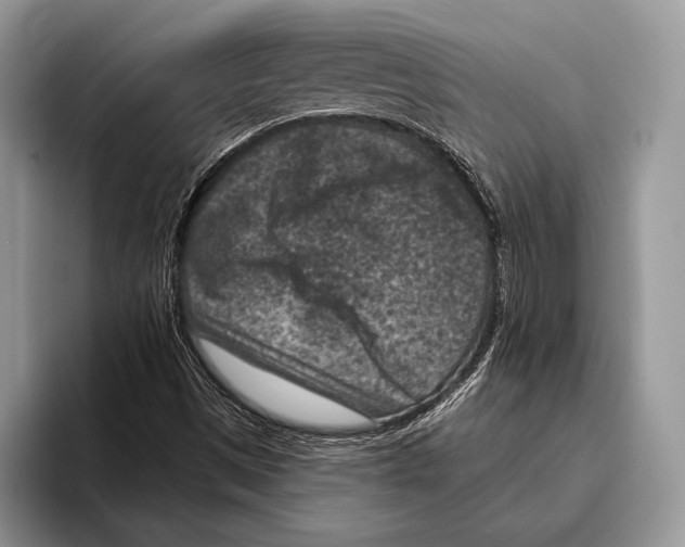 X0000095961497200802081307