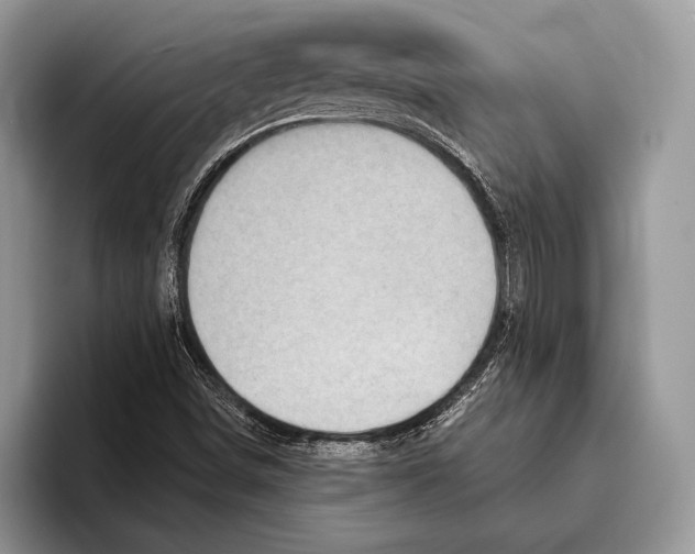 X0000095961498200802081307