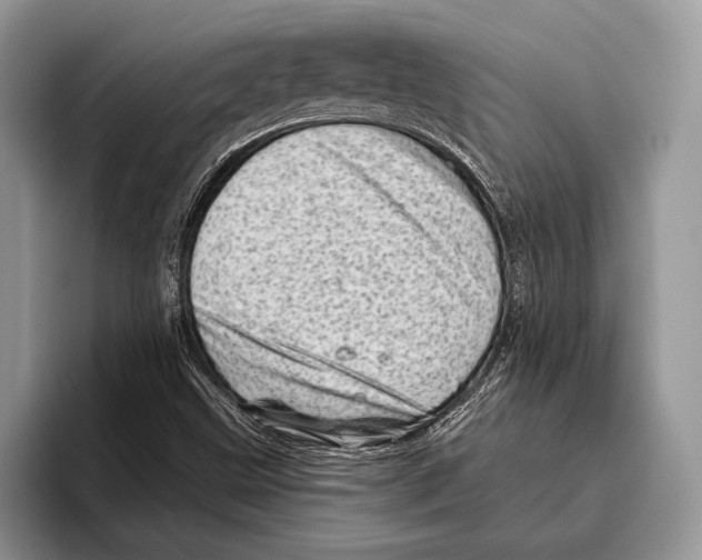 X0000095961499200802081307