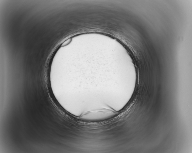 X0000095961500200802081307