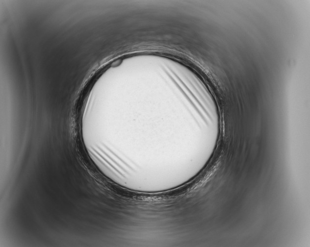 X0000095961501200802081307