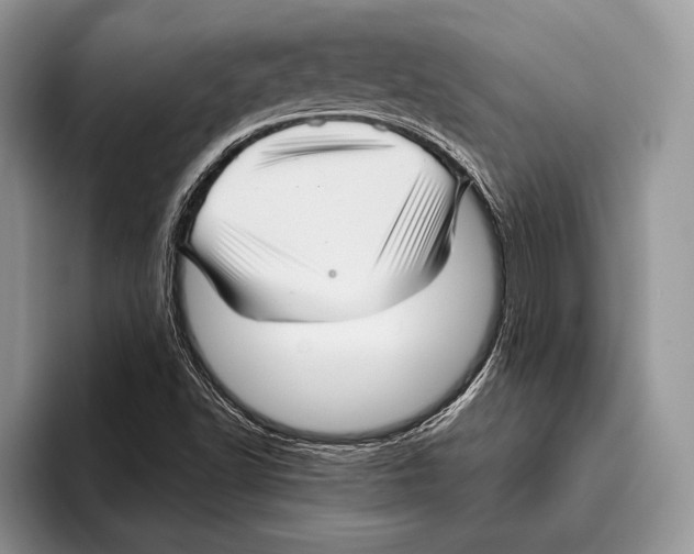 X0000095961502200802081307