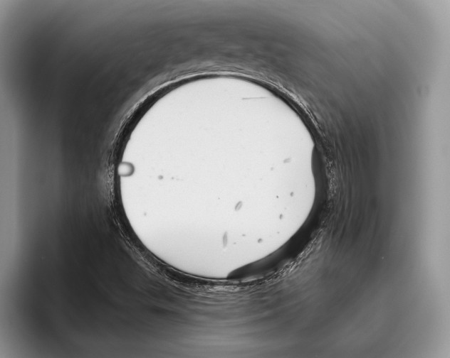 X0000095961503200802081307