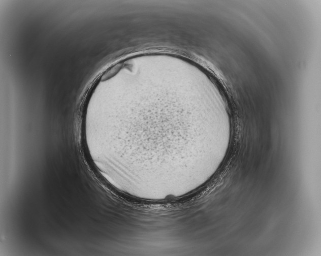 X0000095961504200802081307