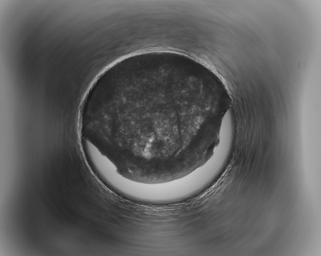 X0000095961508200802081307