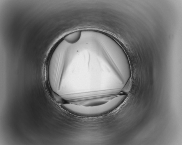 X0000095961510200802081307