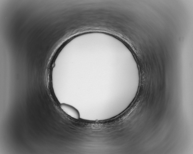 X0000095961511200802081307