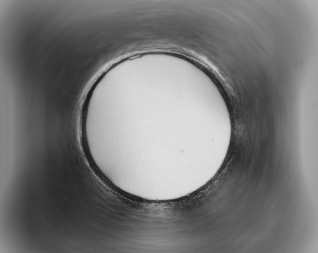 X0000095961512200802081307