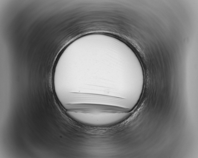 X0000095961513200802081307