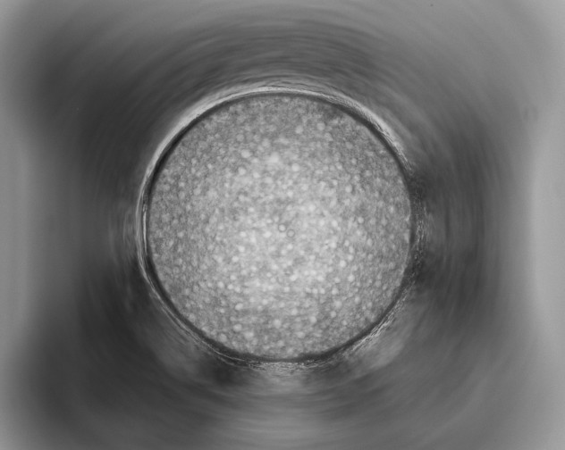 X0000095961514200802081307