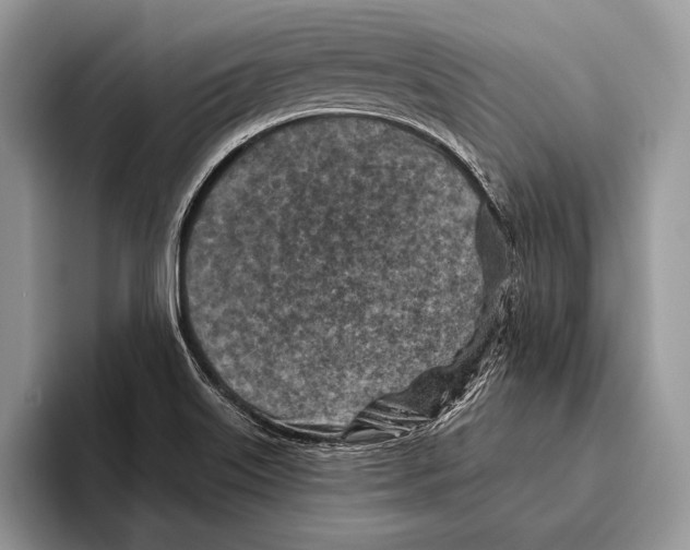 X0000095961515200802081307