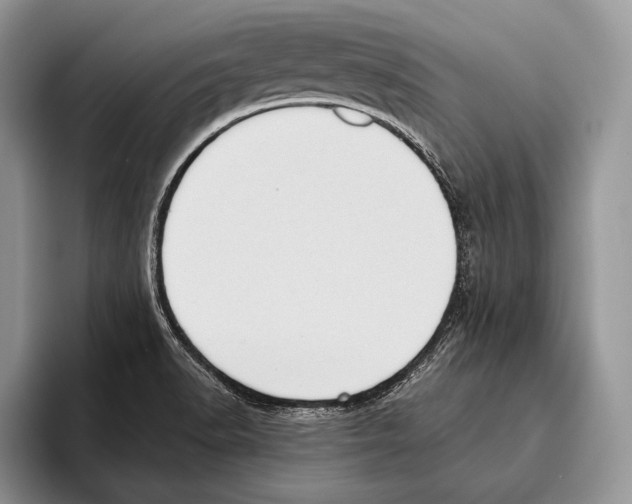 X0000095961518200802081307