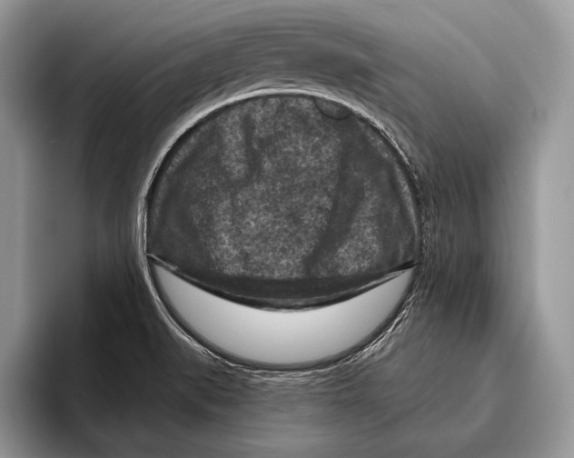 X0000095961519200802081307