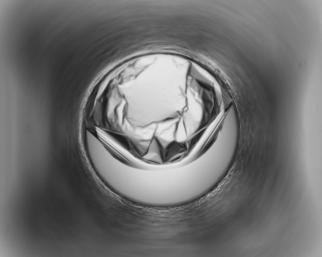 X0000095961520200802081307