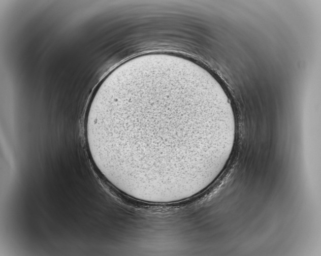 X0000095961521200802081307