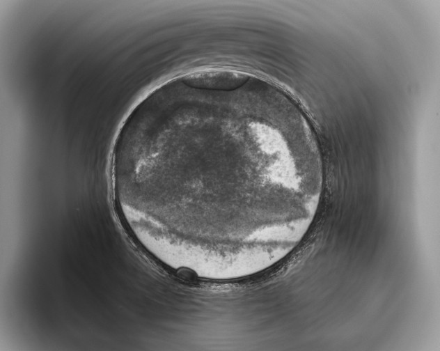 X0000095961522200802081307