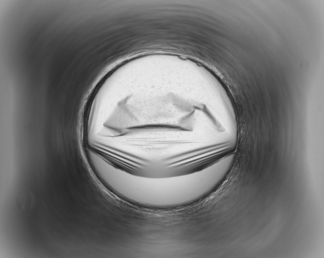 X0000095961523200802081307