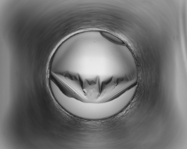 X0000095961524200802081307