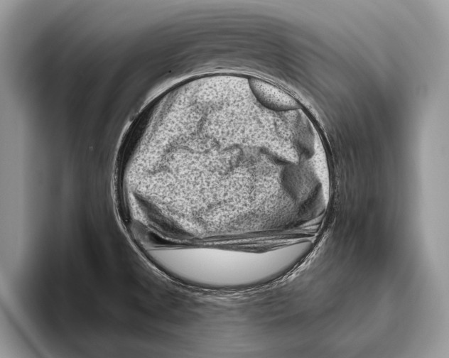 X0000095961525200802081307