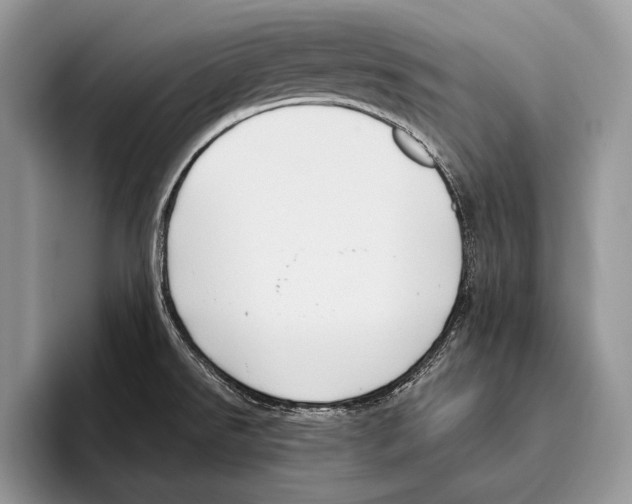 X0000095961526200802081307